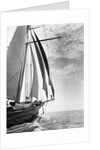 The Guinevere at Sail by Anonymous