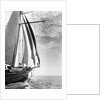 The Guinevere at Sail by Anonymous