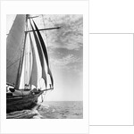 The Guinevere at Sail by Anonymous
