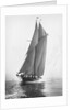 Cleopatra's Barge by Anonymous