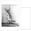 The Wreck of the Marilee by Anonymous