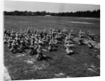 Army Calisthenics at Yoder Field by Anonymous
