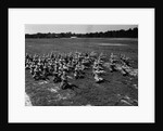 Army Calisthenics at Yoder Field by Anonymous