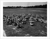 Army Calisthenics at Yoder Field by Anonymous