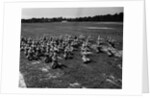 Army Calisthenics at Yoder Field by Anonymous
