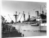 SS Dominican Victory by Anonymous