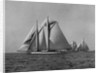 Full-Sailed Yachts in a Schooner Race by Anonymous