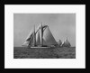 Full-Sailed Yachts in a Schooner Race by Anonymous
