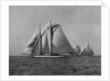 Full-Sailed Yachts in a Schooner Race by Anonymous