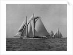 Full-Sailed Yachts in a Schooner Race by Anonymous