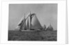 Full-Sailed Yachts in a Schooner Race by Anonymous