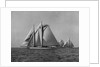 Full-Sailed Yachts in a Schooner Race by Anonymous