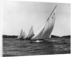 Yachts Participate in a Six Meter Race by Anonymous