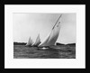 Yachts Participate in a Six Meter Race by Anonymous