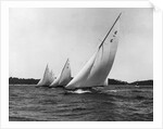 Yachts Participate in a Six Meter Race by Anonymous