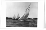 Yachts Participate in a Six Meter Race by Anonymous