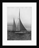 Two Sailboats at the Start of the America's Cup by Anonymous