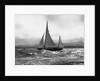 Sailboat Participating in a Yacht Club Cruise by Anonymous
