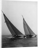 Sailboats Leaning in the Wind by Anonymous