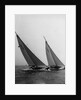 Sailboats Leaning in the Wind by Anonymous