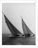 Sailboats Leaning in the Wind by Anonymous