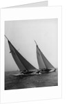 Sailboats Leaning in the Wind by Anonymous