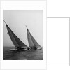 Sailboats Leaning in the Wind by Anonymous