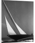 Ibis Yacht Cruising by Anonymous