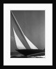 Ibis Yacht Cruising by Anonymous