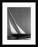 Ibis Yacht Cruising by Anonymous