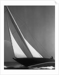 Ibis Yacht Cruising by Anonymous