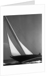 Ibis Yacht Cruising by Anonymous