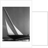 Ibis Yacht Cruising by Anonymous