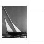 Ibis Yacht Cruising by Anonymous