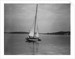 Ice Yachting on a Frozen Lake by Anonymous