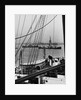 Deck of the Steamship Majestic by Anonymous