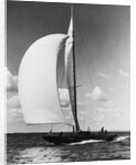 A Sailboat with a Full Front Sail by Anonymous