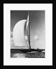 A Sailboat with a Full Front Sail by Anonymous