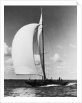A Sailboat with a Full Front Sail by Anonymous