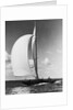 A Sailboat with a Full Front Sail by Anonymous