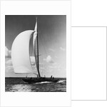 A Sailboat with a Full Front Sail by Anonymous