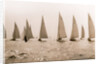 Yacht Race by Anonymous