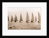 Yacht Race by Anonymous