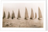 Yacht Race by Anonymous