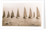 Yacht Race by Anonymous