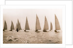 Yacht Race by Anonymous