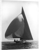 Sailboat at Full Sail by Anonymous