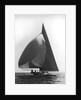 Sailboat at Full Sail by Anonymous