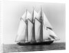 Dauntless Power Yacht in America's Cup Race by Anonymous