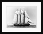 Dauntless Power Yacht in America's Cup Race by Anonymous